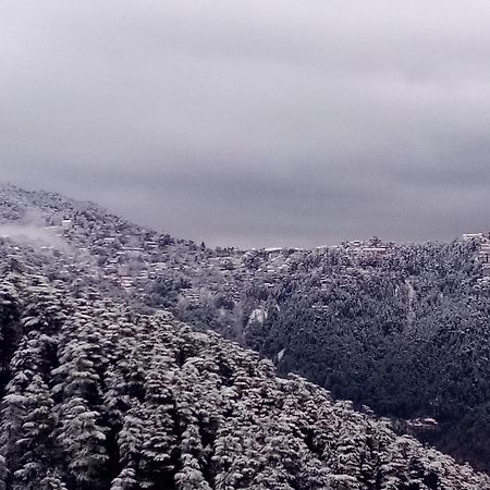 Готель Shimla Regency Екстер'єр фото
