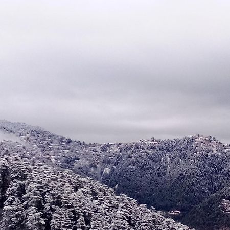 Готель Shimla Regency Екстер'єр фото