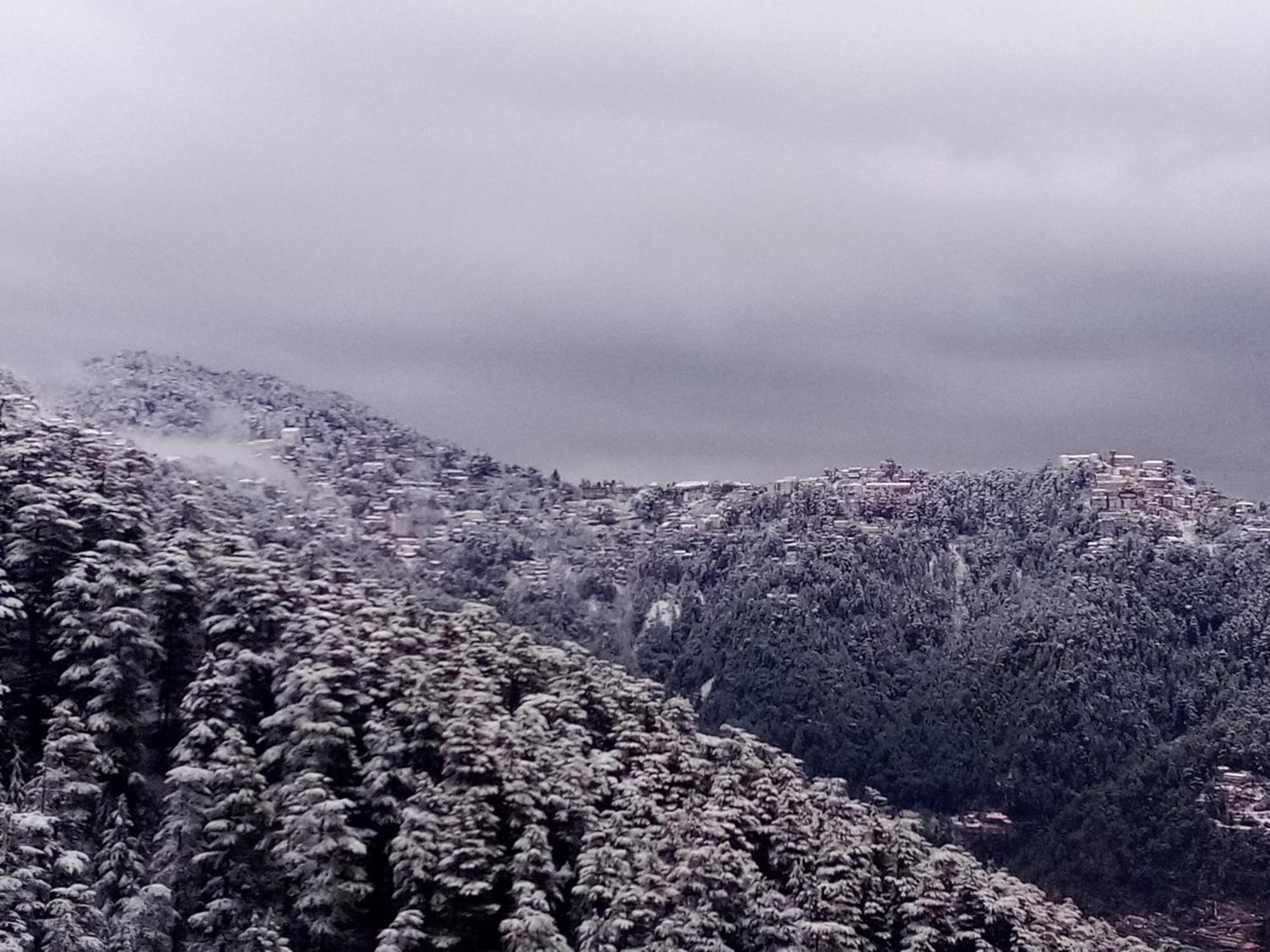 Готель Shimla Regency Екстер'єр фото